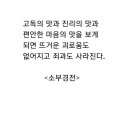 고독의 맛과.... 이미지