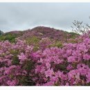 구인월경로당 이미지