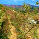 상부농장 이미지