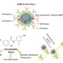 현대바이오 이미지