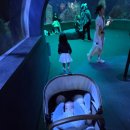 대전아쿠아리움 이미지