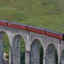 Train For Life 이미지