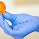 Sugar(슈가) 이미지