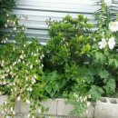 인선농장 이미지