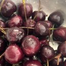 쌍수농장 이미지