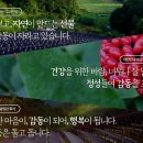 한국유통.선물 이미지