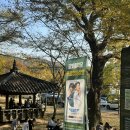 담빛음악당 무료 영화 상영 이미지