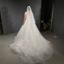 베니하우스25 | [대전 하우스오브에이미] 본식 셀렉 _ 스타피쉬/베니투/아이스캐럿