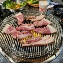 껍데기 이미지