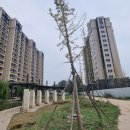 위성아파트 이미지