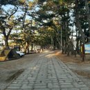 대전해수욕장 Daum카페