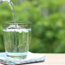 히포 유도장 이미지