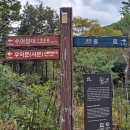 마천119안전센터 | 남한산성 산성역 등산코스(산성역 - 남문 - 행궁 - 서문 - 연주봉 옹성암문 - 마천역)