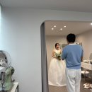 데브스튜디오 | 성수 웨딩드레스 대여 비용 디자이너 브랜드 엘데브(Ailes d’Ève) 피팅!