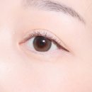 데이지드림 이미지