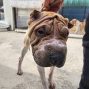 선부광장남로 이미지