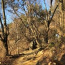 한샘약수터 이미지