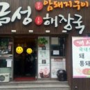 금성방역