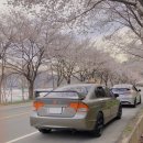 [2021.03.26] 8세대 시빅 SI 봄 준비 하체작업!