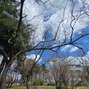 개나리공원 농구장 이미지