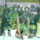 연담목장 이미지