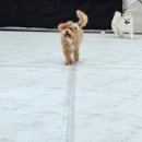 개스트룸 이미지