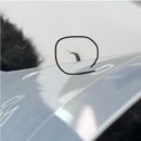 원주24시스카이동물메디컬센터 이미지