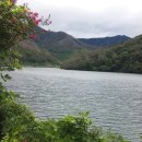 해양선박 행정사무소 이미지