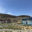 도담도담농장 이미지