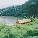 고사리맨션 이미지