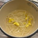 상록온누리약국 | 안산 본오동 곱창 맛집, 닭갈비 치즈 곱창 닭치곱 후기