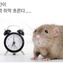 (주)에이메가 | 현직 메린이가 추천하는 메가커피 여름 신메뉴, 오픈 미들 마감 난이도, 알바 텃세