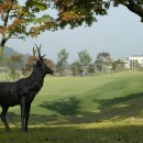 담양레이나CC 클럽하우스 이미지
