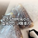 찰옥수수맛집 | 광주 담벼락옥수수 찰옥수수 구매 후기