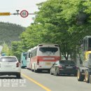 다전로 울산제일일보