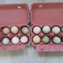 옹달샘 농장 이미지