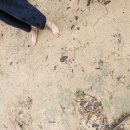 토월체육공원 이미지