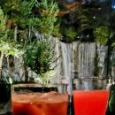 남산공원길3 이미지