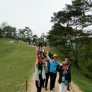 김삿갓면-18 이미지