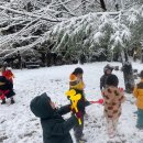 펑펑! 눈이 왔어요! 눈사람, 눈썰매! 눈 놀이해요☃️ 이미지