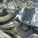 그린카마스타 이미지