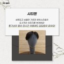 시티맨헤어 네이버블로그