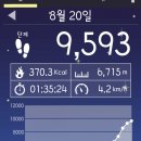 예쁜돼지 이미지