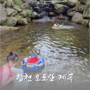 오도산 자연휴양림 | 합천 계곡 캠핑장 오도산자연휴양림 야영장 방문 팁