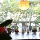 다선전통찻집 이미지