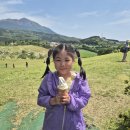 현 목장 | 아이와 미야자키 여행 | 포토존+체험+신선한 아이스크림까지! &#34;타카치호 목장&#34; 하루 일정 완전 가이드