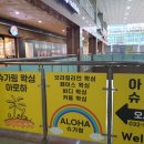 아로하슈가링 네이버블로그