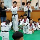 연서태권도 이미지