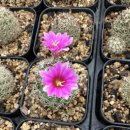 하우스유 이미지