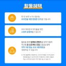 모모E 이미지